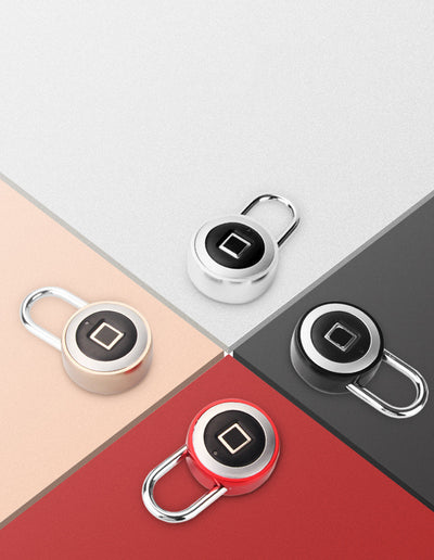 Smart Fingerprint Lock